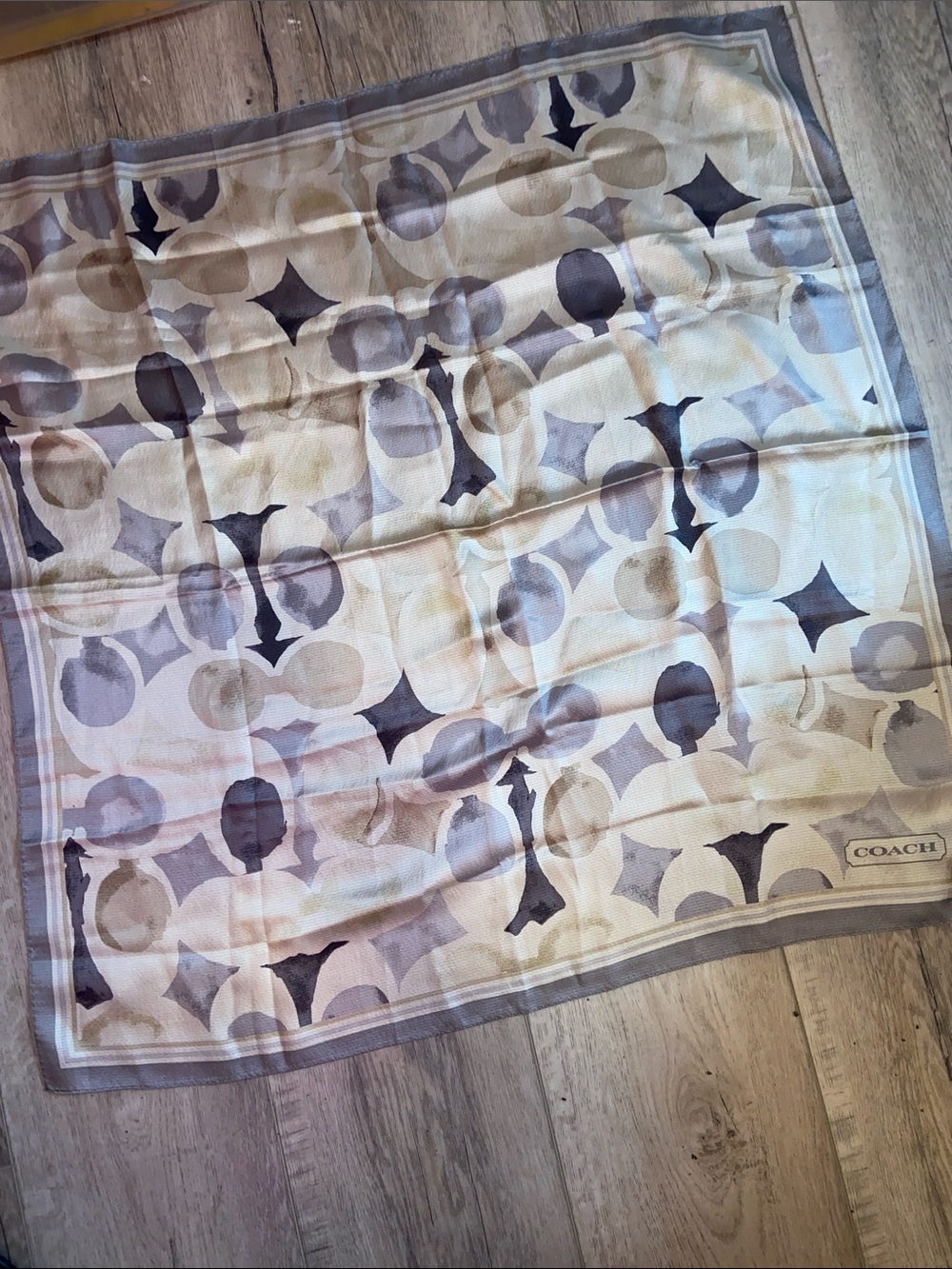 Coach Y2K Monogram Silk Scarf EUC